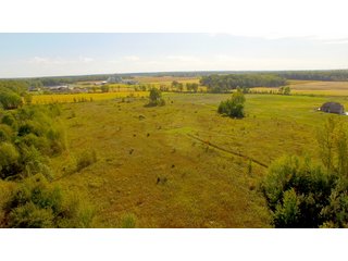 DeKalb County - LAND AUCTION - 2 PROPERTIES, 3.84+/- ACRES IN ALLEN COUNTY, INDIANA & 15+/- ACRES IN DEKALB COUNTY, INDIANA